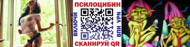 Псилоцибиновые грибы Psilocybe  где купить наркоту  Суоярви 